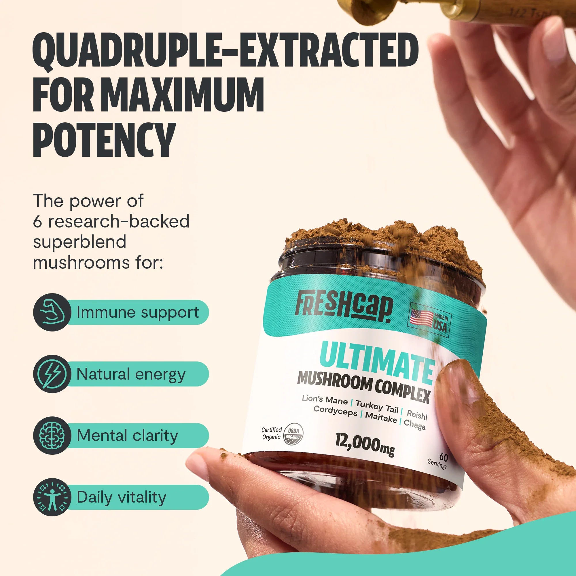 Organic Mushroom Extract Powder Blend